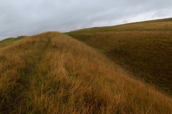 Cleeve Cloud (Hillfort)