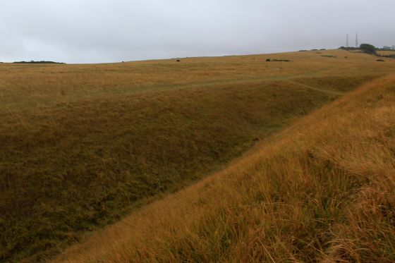 Cleeve Cloud (Hillfort)