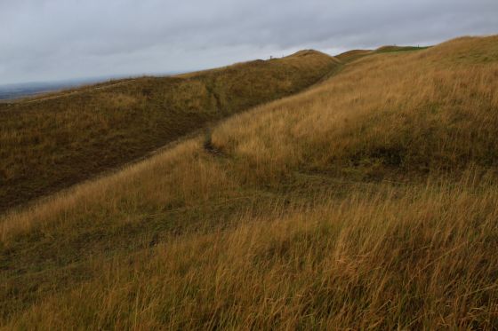 Cleeve Cloud (Hillfort)