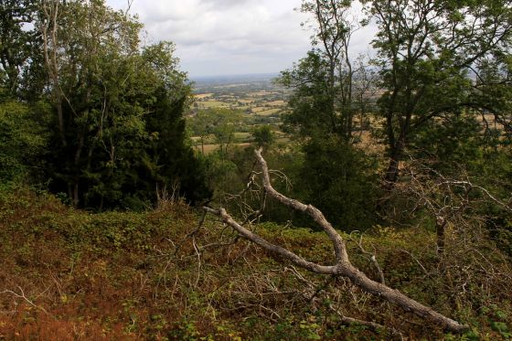 Midsummer Hill