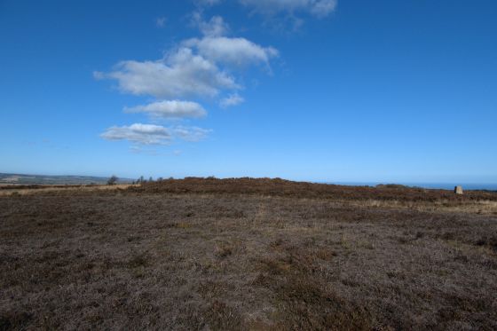 Brow Top (Round Barrow(s))