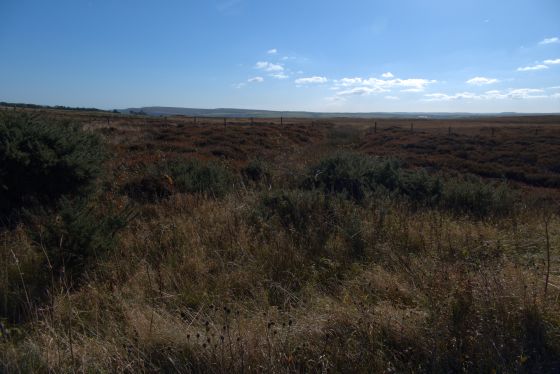 Latter Gate Hills quadruple dyke