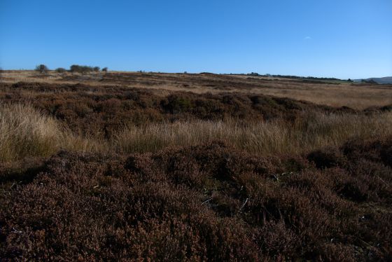 Latter Gate Hills quadruple dyke
