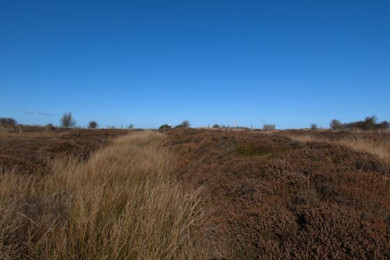 Latter Gate Hills quadruple dyke