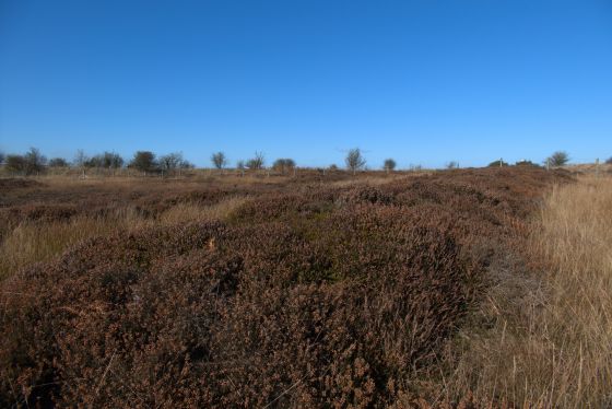 Latter Gate Hills quadruple dyke