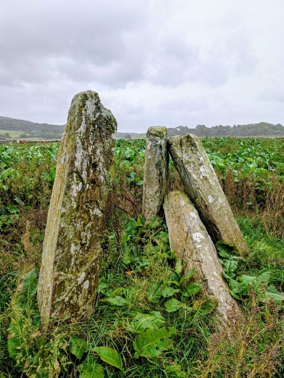 Newton Farm Burial Chamber