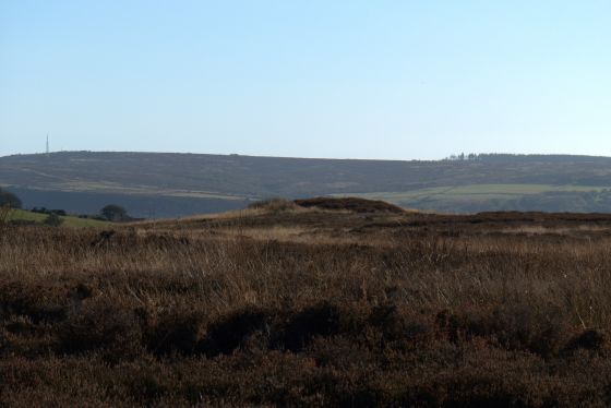 Latter Gate Hills (Round Barrow(s))