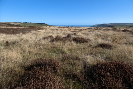 Ramsdale Standing Stones