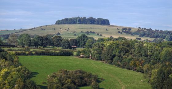 Hazelton Clump (Round Barrow(s))