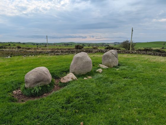 Torhousekie Stone Row