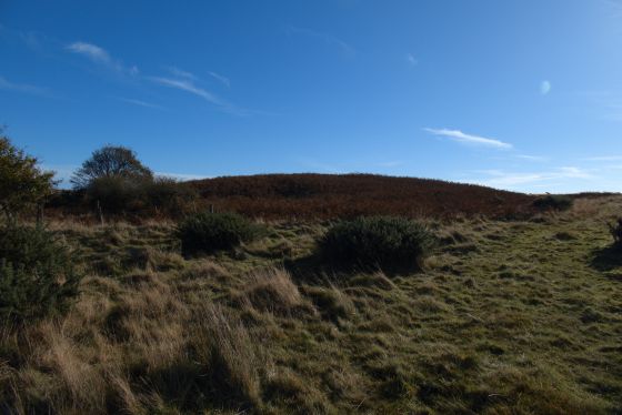 Stang Howe (Round Barrow(s))