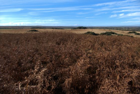 Stang Howe (Round Barrow(s))