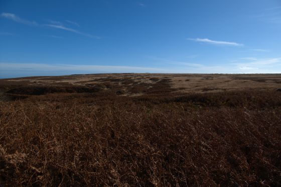 Stang Howe (Round Barrow(s))