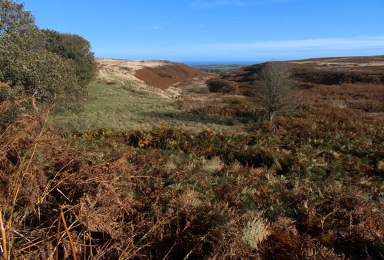 Stang Howe (Round Barrow(s))