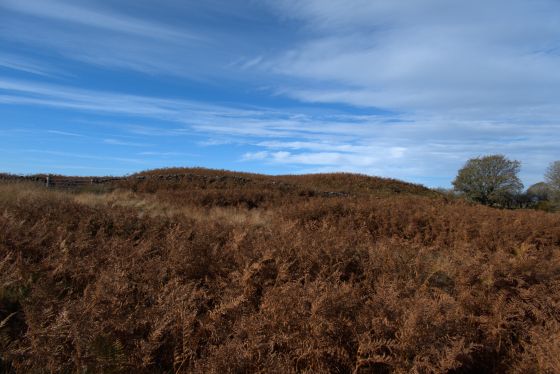 Stang Howe (Round Barrow(s))