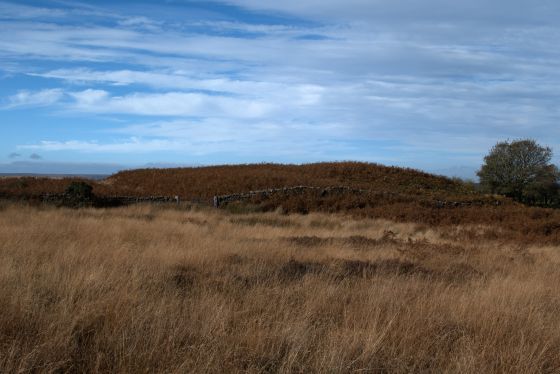 Stang Howe (Round Barrow(s))