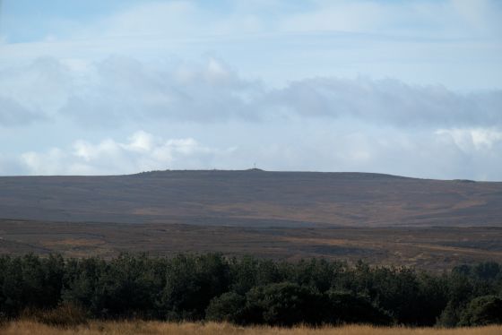 Danby Beacon (Round Barrow(s))