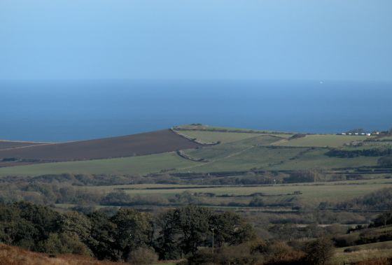 Hinderwell Beacon (Round Barrow(s))