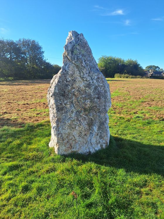 Duloe (Stone Circle)