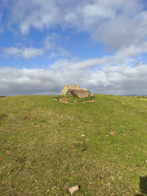 Twyn-y-Beddau (Round Barrow(s))