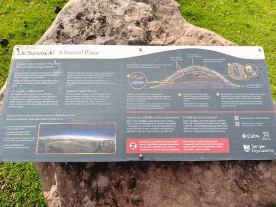 Twyn-y-Beddau (Round Barrow(s))