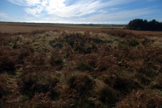 Newton Mulgrave Moor (Barrow / Cairn Cemetery)