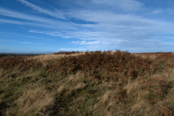 Newton Mulgrave Moor (Barrow / Cairn Cemetery)