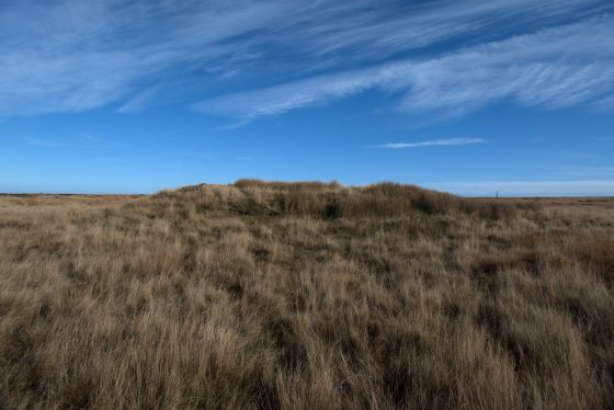 Newton Mulgrave Moor (Barrow / Cairn Cemetery)
