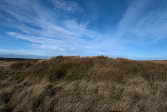 Newton Mulgrave Moor (Barrow / Cairn Cemetery)
