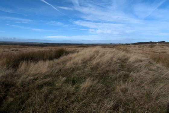 Newton Mulgrave Moor (Barrow / Cairn Cemetery)