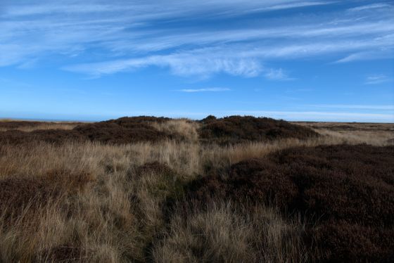 Newton Mulgrave Moor (Barrow / Cairn Cemetery)