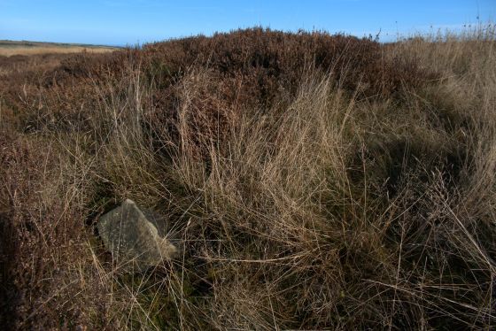 Newton Mulgrave Moor (Barrow / Cairn Cemetery)