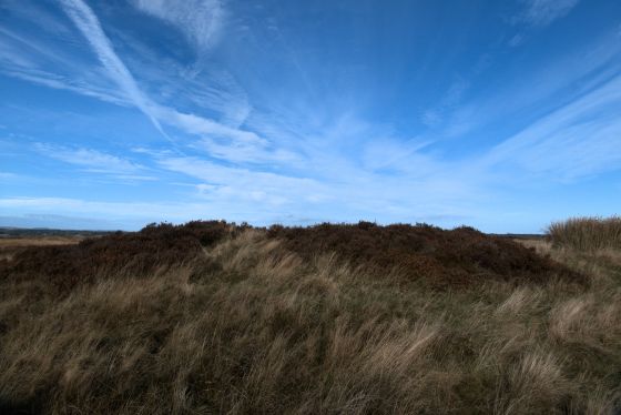 Newton Mulgrave Moor (Barrow / Cairn Cemetery)