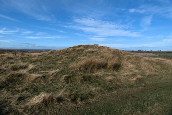 Newton Mulgrave Long Barrow
