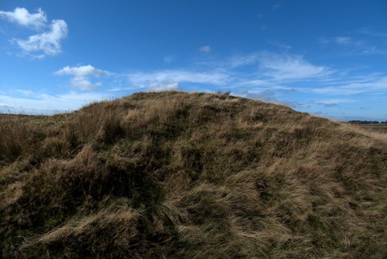 Newton Mulgrave Long Barrow