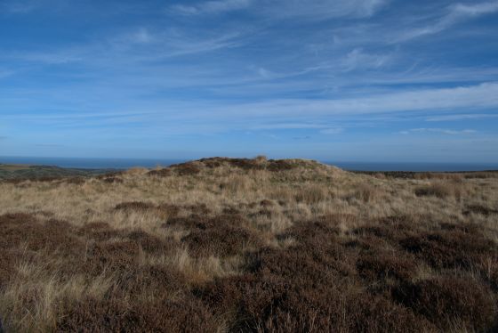 Newton Mulgrave Long Barrow