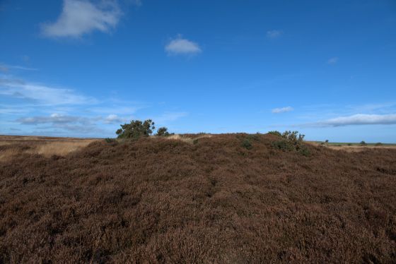 Newton Mulgrave Round Barrow (Round Barrow)