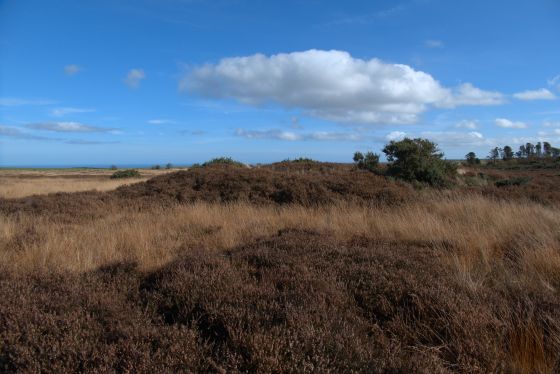 Newton Mulgrave Round Barrow (Round Barrow)