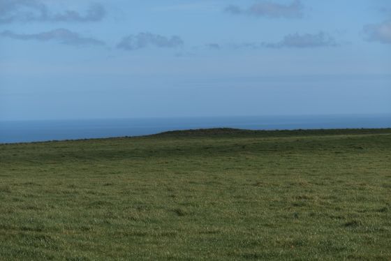 Newton Brow (Round Barrow(s))