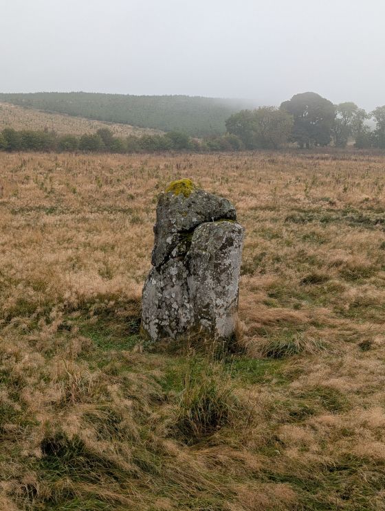 Gray Stone (Standing Stone / Menhir)