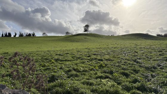 Cartron South (Stone Circle)