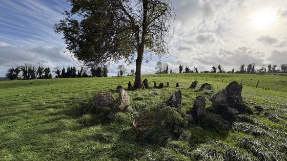 Cartron South (Stone Circle)