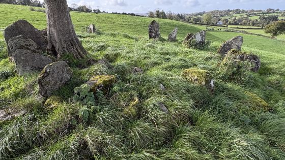 Cartron South (Stone Circle)