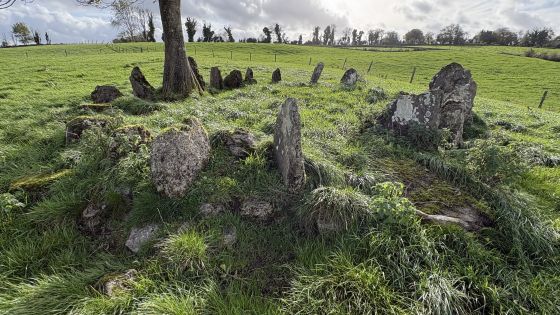 Cartron South (Stone Circle)
