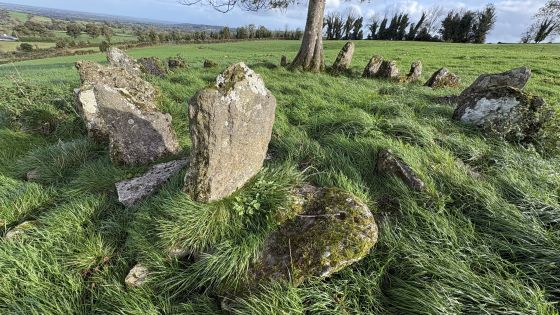 Cartron South (Stone Circle)
