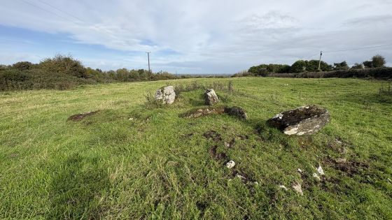 Cregg (Wedge Tomb)
