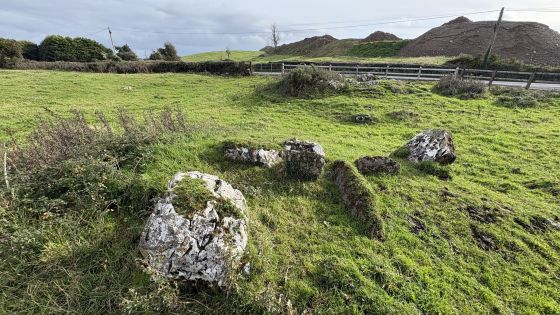 Cregg (Wedge Tomb)