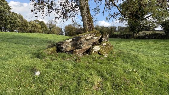 Marble Hill (north) (Portal Tomb)