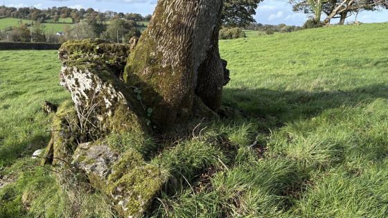 Marble Hill (north) (Portal Tomb)