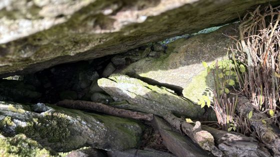 Marble Hill (north) (Portal Tomb)